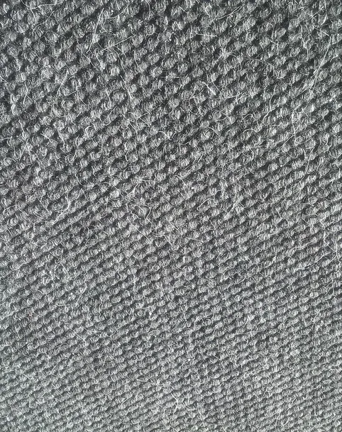 Homelab-tergus-tapis-1