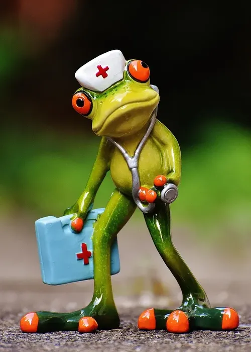 Homelab house doctor salle manger Homelab-house-doctor-salle-manger